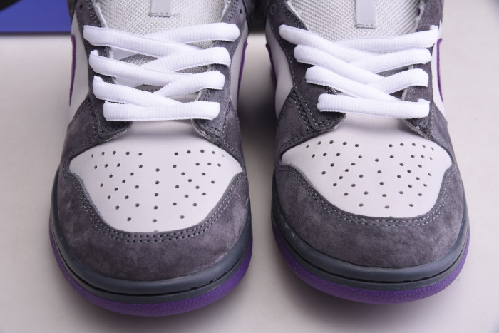 nike dunk sb low purple pigeon 304292-051