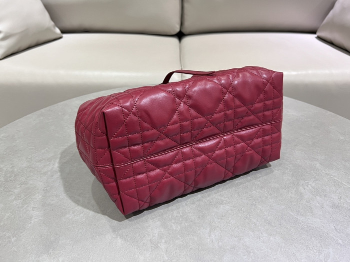 D1OR BAG 28.5x19x21cm