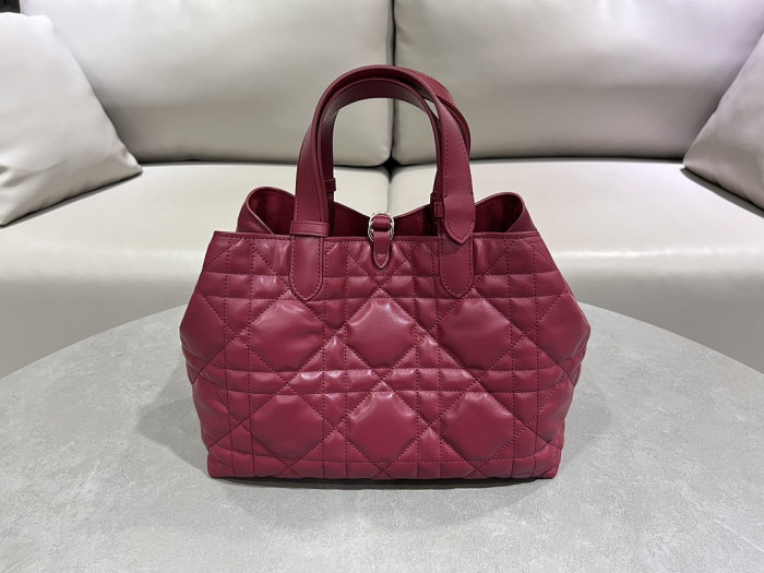 D1OR BAG 28.5x19x21cm