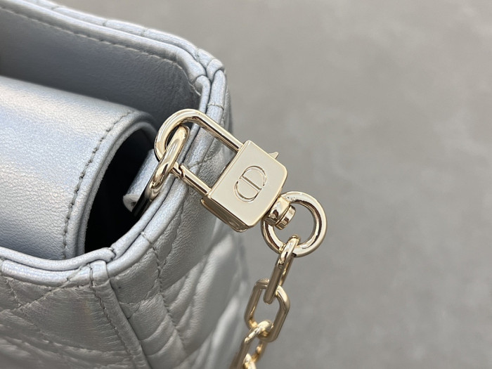 D1OR BAG 26x13.5x5cm