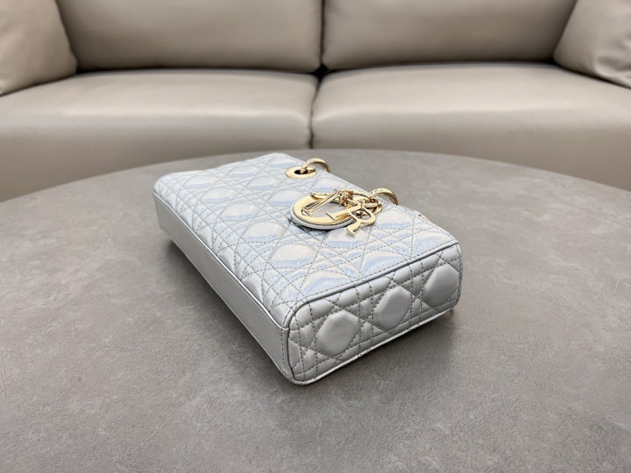 D1OR BAG 26x13.5x5cm