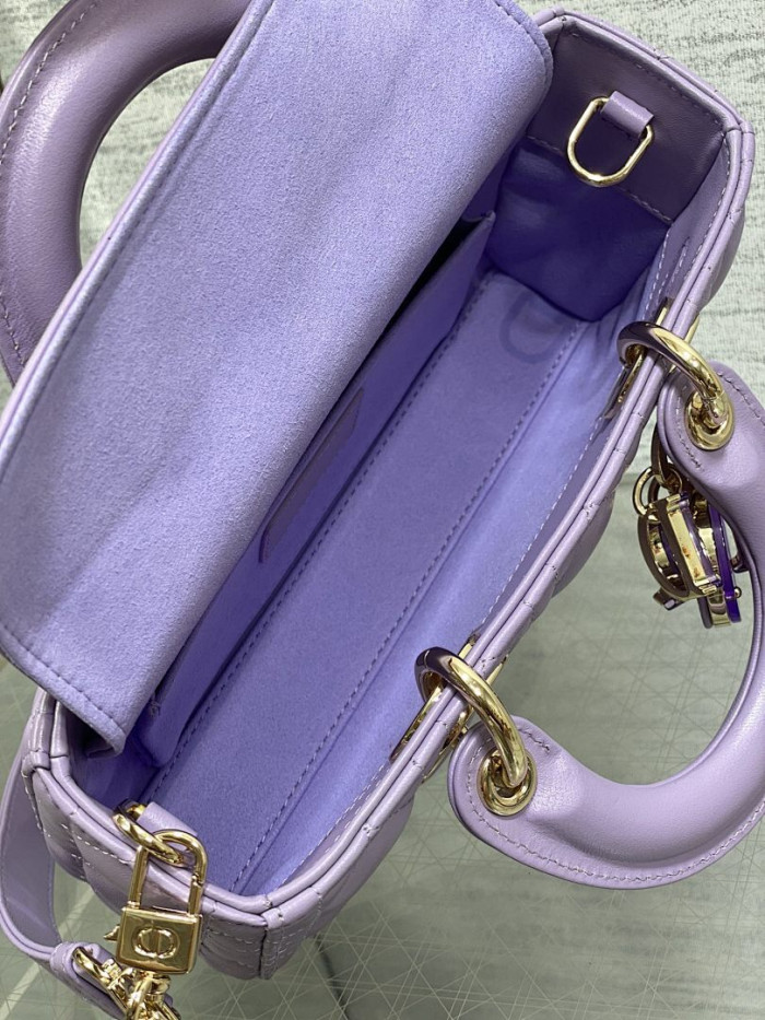 D1OR BAG 22.5x6x11.5cm