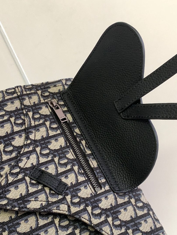 D1OR BAG 24x17.5x5cm