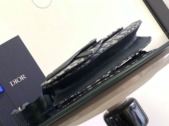 D1OR BAG 24x17.5x5cm