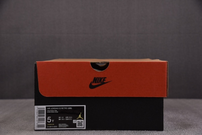 Air Jordan 12 GS Pearl Pink 510815-600