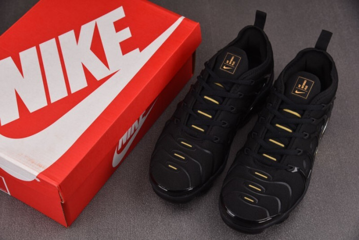 NIKE AIR VAPORMAX Plus 924453-0070