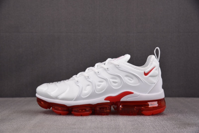 NIKE AIR VAPORMAX Plus 924453-162