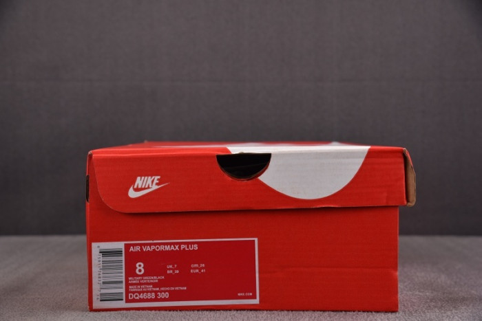 NIKE AIR VAPORMAX Plus AO4688-300