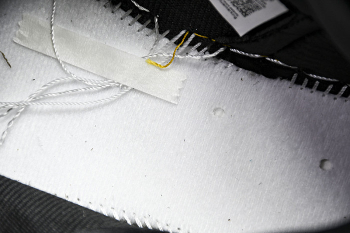 AIR JORDAN 1 HIGH OG STAIN SHADOW 2024 FD4810-010