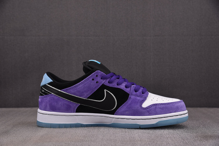 Hayley Wilson x Nike SB Dunk Low HJ0513-500