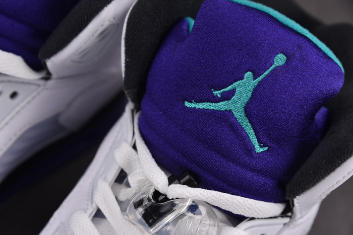 JORDAN 5 RETRO GRAPE 2025 HQ7978-100