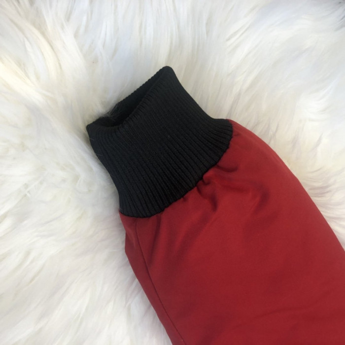 CANADA G00SE CHILLIWACK C11