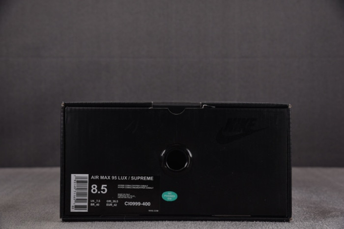 Nike Air Max 95 Lux Sp blue CI0999-400