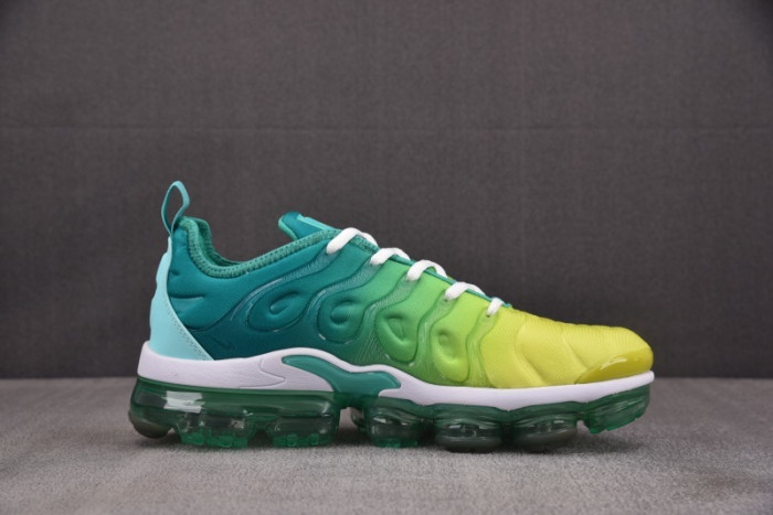 NIKE AIR VAPORMAX Plus CI9900-300