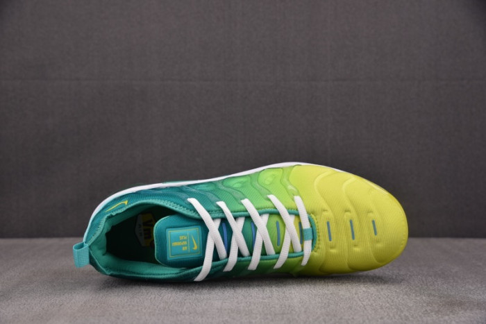 NIKE AIR VAPORMAX Plus CI9900-300