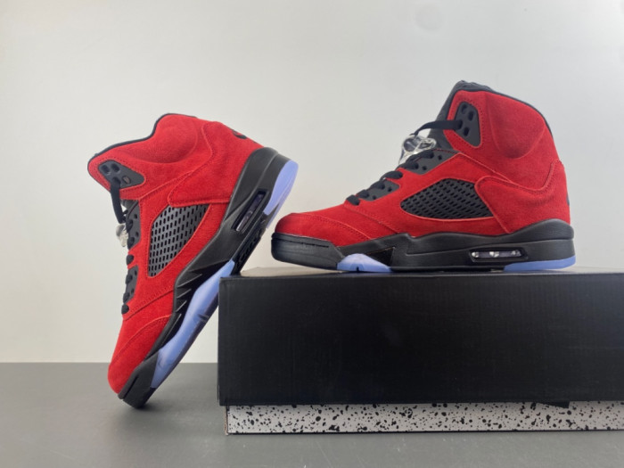 Air Jordan 5 Retro DD0587-600