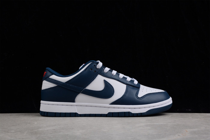 nike dunk sb low retro valerian blue dd1391-400