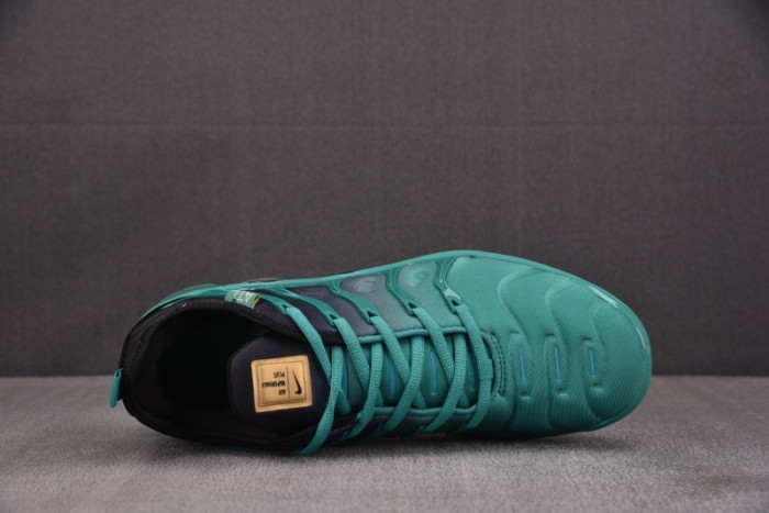 NIKE AIR VAPORMAX Plus DH0145-300