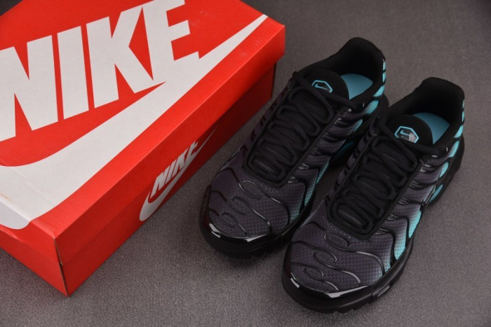 NK Air Max Plus Black Dusty Cactus DM0032-016