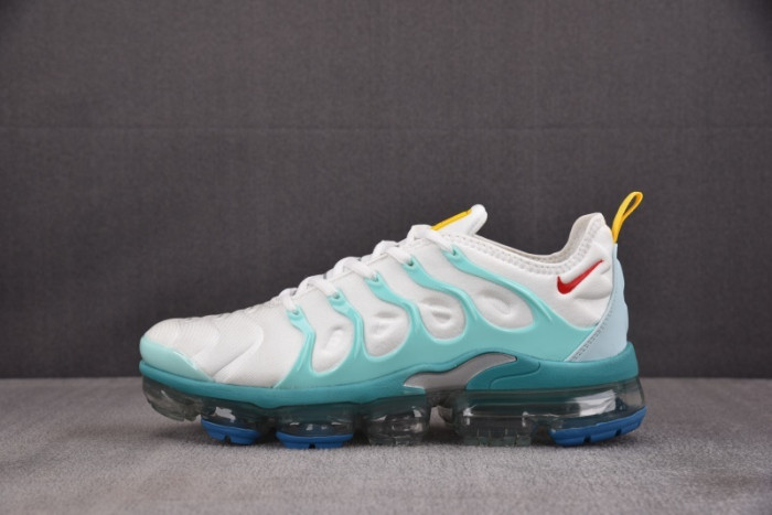 NIKE AIR VAPORMAX Plus DQ7645-100