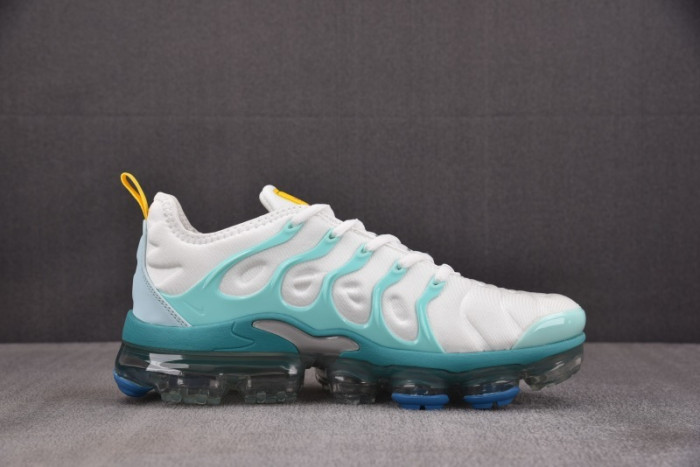 NIKE AIR VAPORMAX Plus DQ7645-100