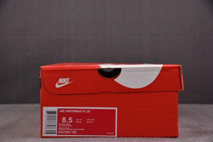 NIKE AIR VAPORMAX Plus DQ7645-100