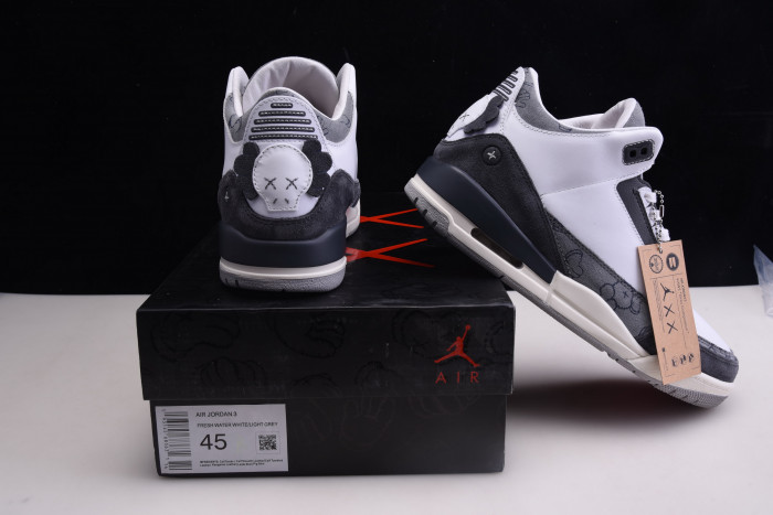 KAWS X AIR JORDAN 3 COMPANION