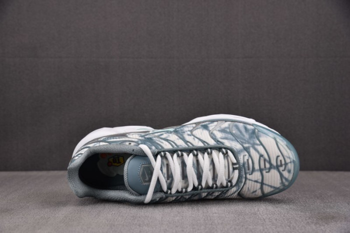 Nike Air Max Plus FV0394-300