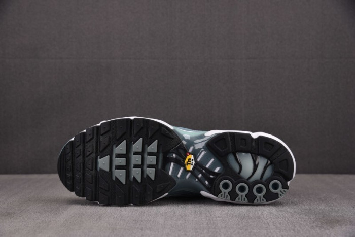 Nike Air Max Plus FV0394-300