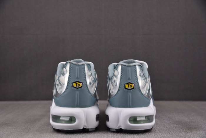Nike Air Max Plus FV0394-300