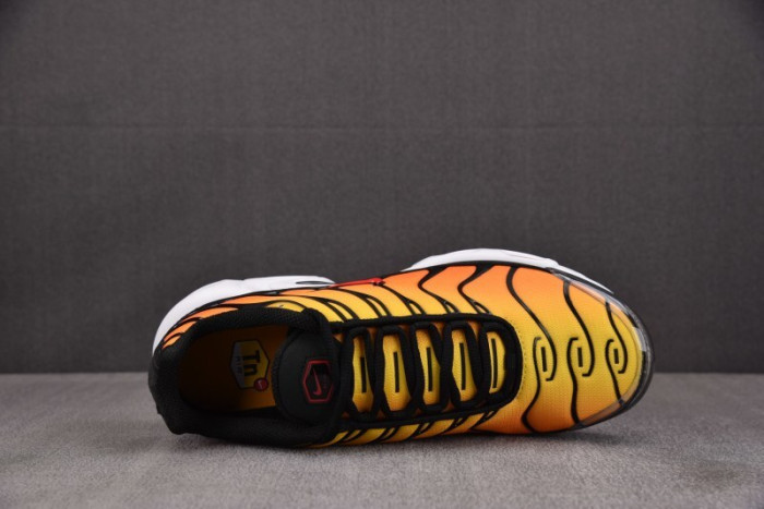Nike Air Max Plus Sunset HF0552-001