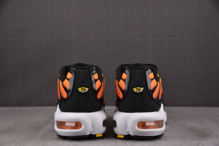 Nike Air Max Plus Sunset HF0552-001