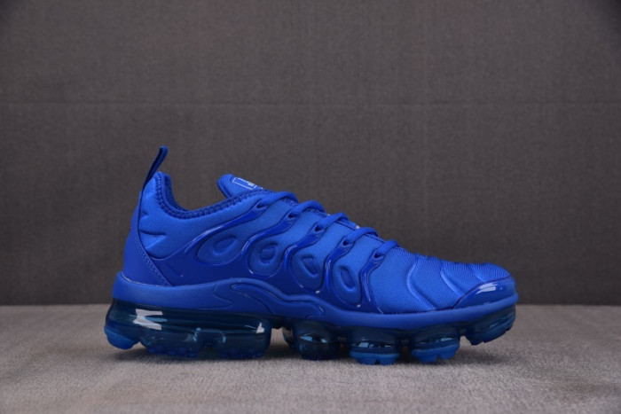 NIKE AIR VAPORMAX Plus HJ9148-480