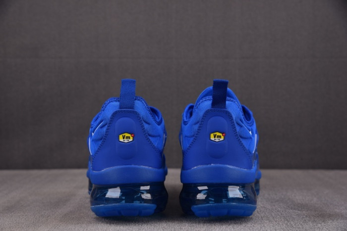 NIKE AIR VAPORMAX Plus HJ9148-480