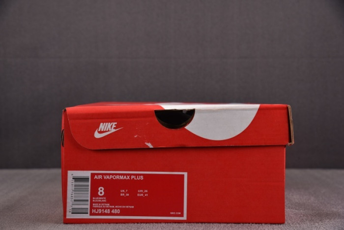 NIKE AIR VAPORMAX Plus HJ9148-480