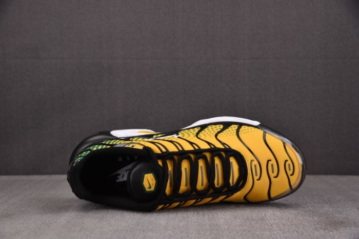 Nike Air Max Plus IB7671-700