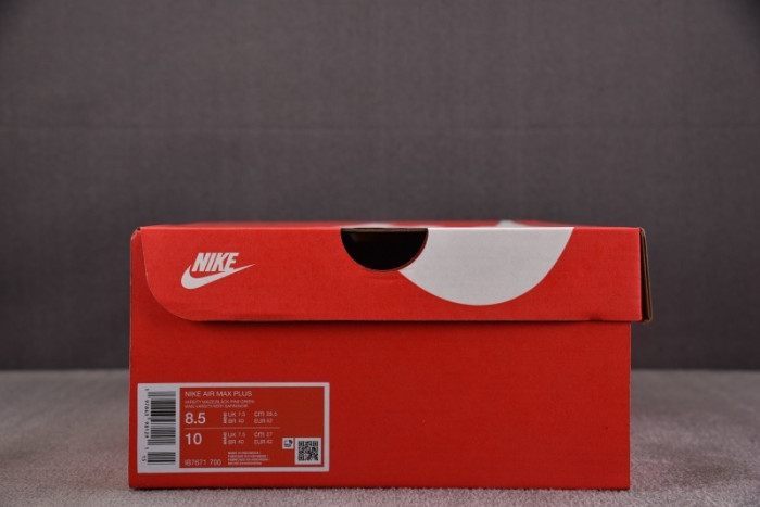 Nike Air Max Plus IB7671-700