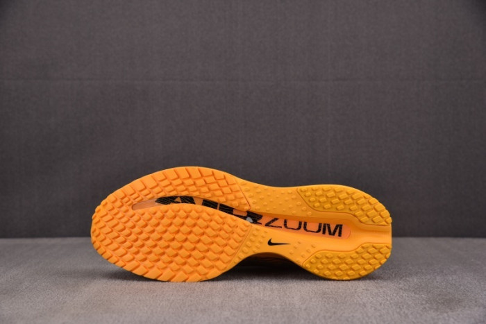 NIKE Air Zoom Pegasus Premium Modern Mayfly